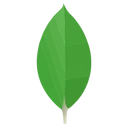 MongoDB